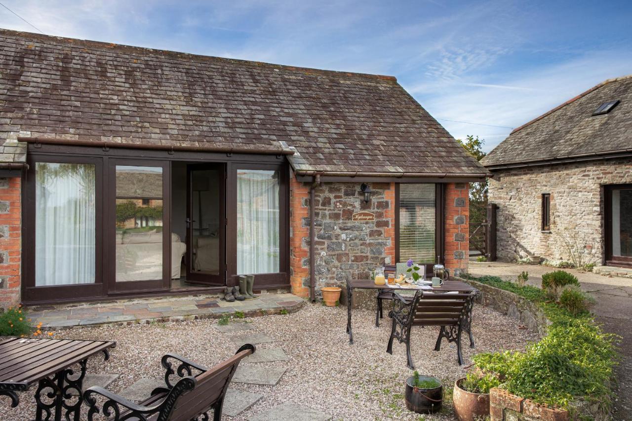 Downe Cottages Hartland Extérieur photo