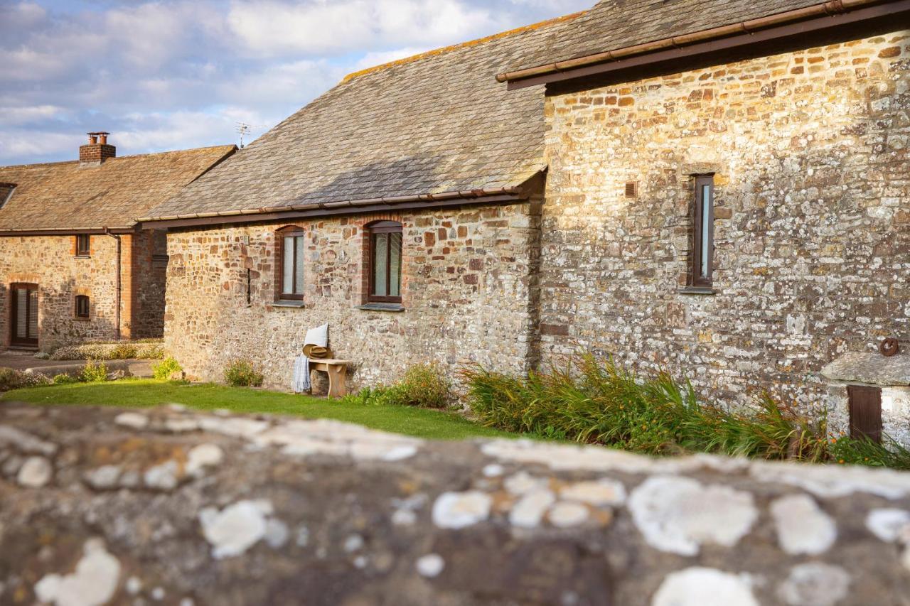 Downe Cottages Hartland Extérieur photo